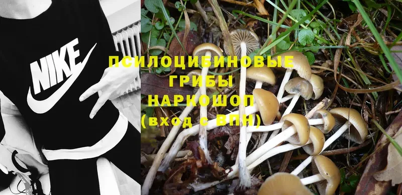 купить наркотики цена  ОМГ ОМГ как зайти  Псилоцибиновые грибы Psilocybine cubensis  Лангепас 